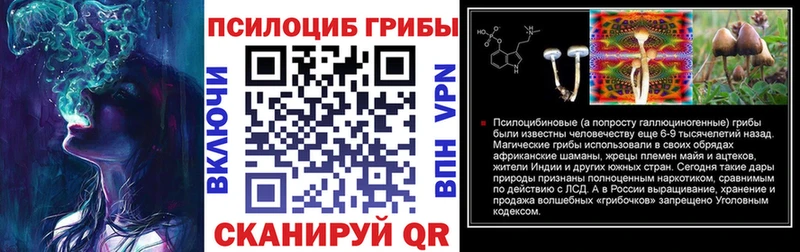 закладка  Петрозаводск  Псилоцибиновые грибы Cubensis 