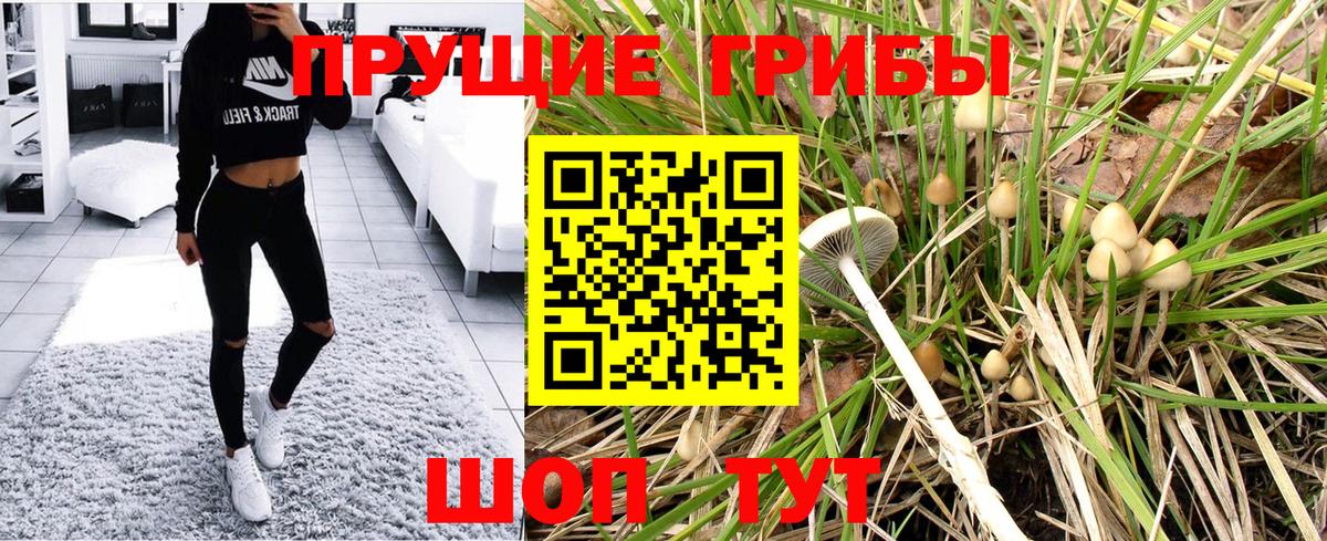 Петрозаводск  Галлюциногенные грибы Magic Shrooms  Вход с VPN 