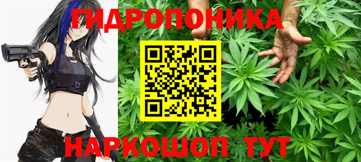 Бошки Шишки ГИДРОПОН Петрозаводск